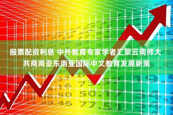 股票配资利息 中外教育专家学者汇聚云南师大 共商南亚东南亚国际中文教育发展新策