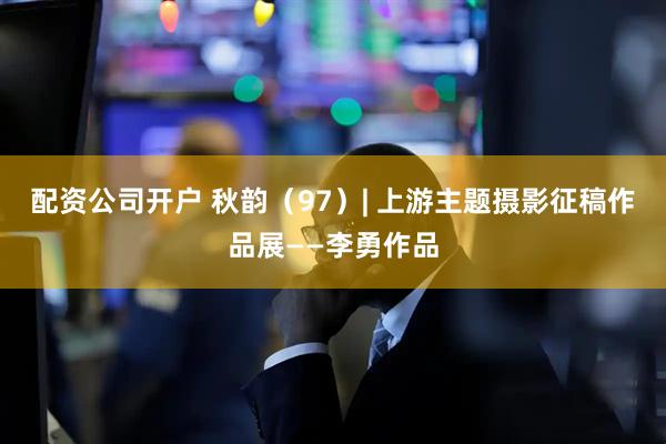 配资公司开户 秋韵（97）| 上游主题摄影征稿作品展——李勇作品