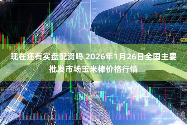 现在还有实盘配资吗 2026年1月26日全国主要批发市场玉米棒价格行情