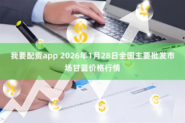 我要配资app 2026年1月28日全国主要批发市场甘蓝价格行情