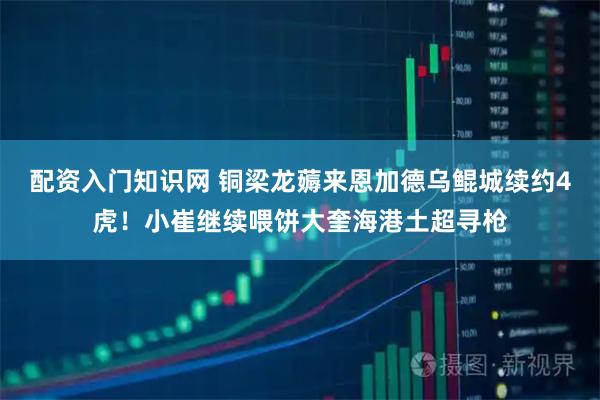 配资入门知识网 铜梁龙薅来恩加德乌鲲城续约4虎！小崔继续喂饼大奎海港土超寻枪