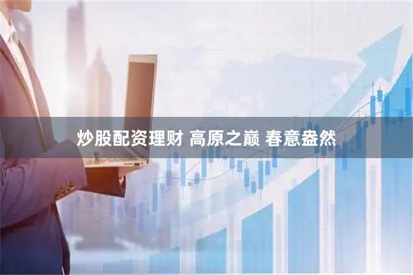 炒股配资理财 高原之巅 春意盎然